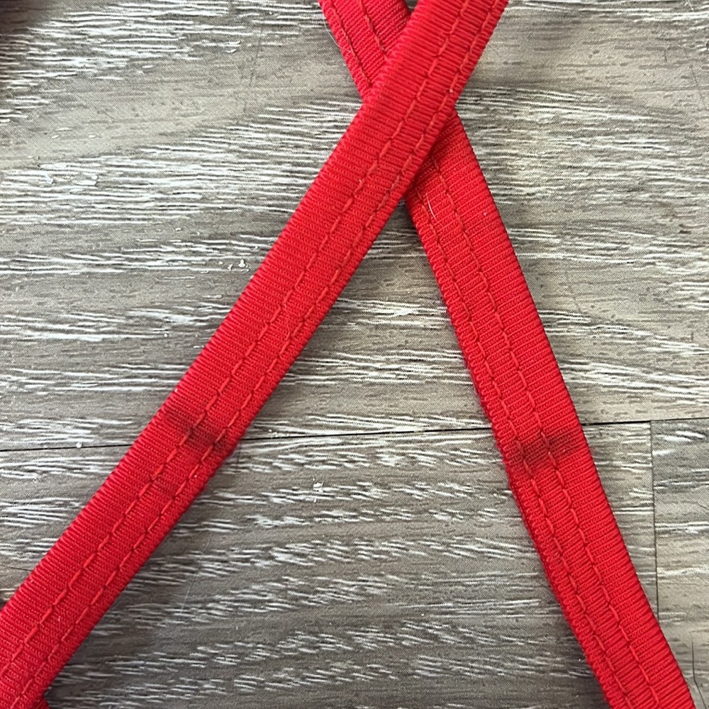 Amazon Red String Bikini - Picture 3 of 3